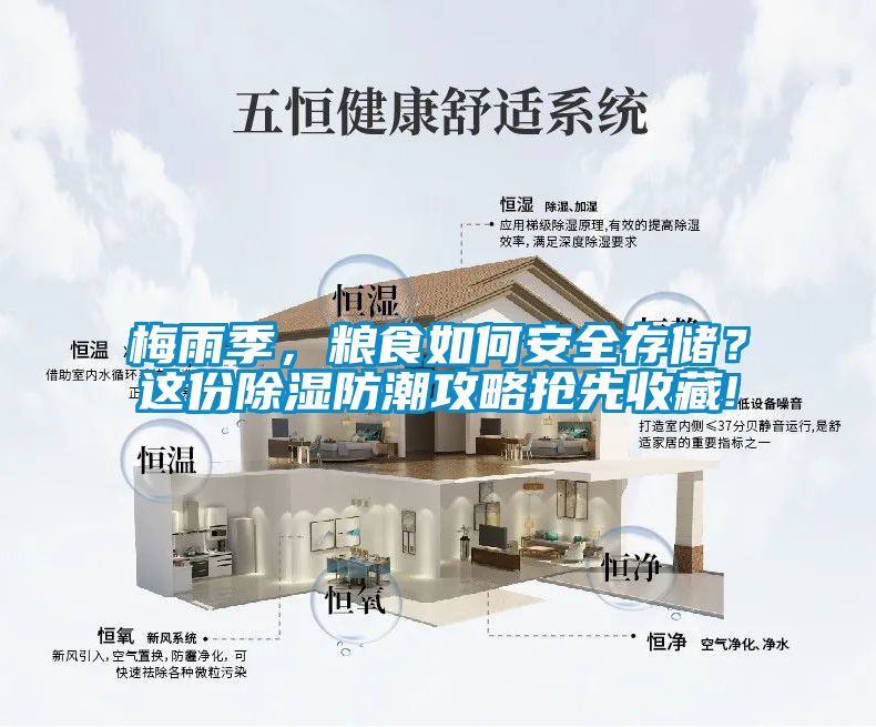梅雨季，糧食如何安全存儲？這份除濕防潮攻略搶先收藏!