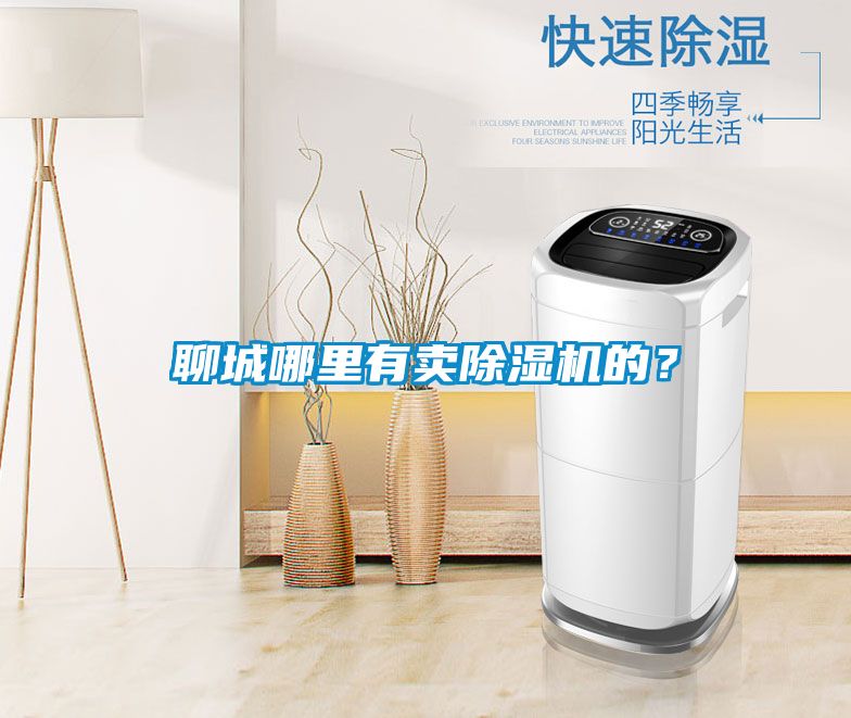 聊城哪里有賣(mài)除濕機(jī)的？