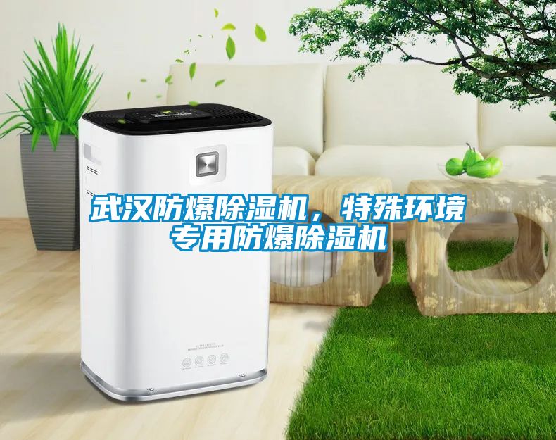 武漢防爆除濕機，特殊環(huán)境專用防爆除濕機