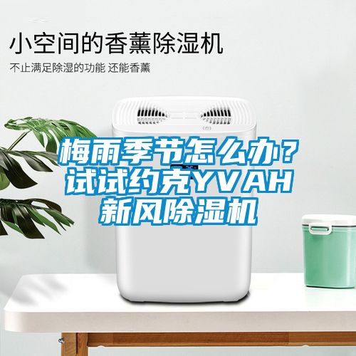 梅雨季節(jié)怎么辦？試試約克YVAH新風除濕機