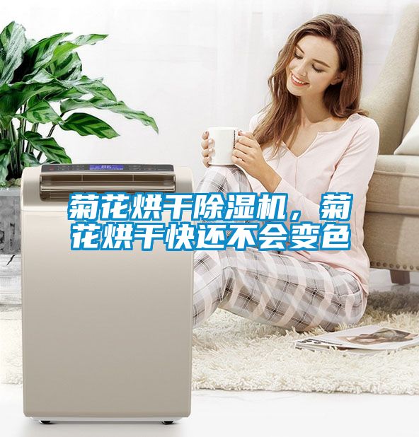 菊花烘干除濕機(jī)，菊花烘干快還不會變色
