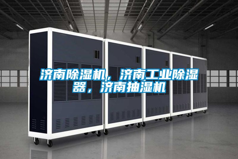 濟(jì)南除濕機(jī)，濟(jì)南工業(yè)除濕器，濟(jì)南抽濕機(jī)