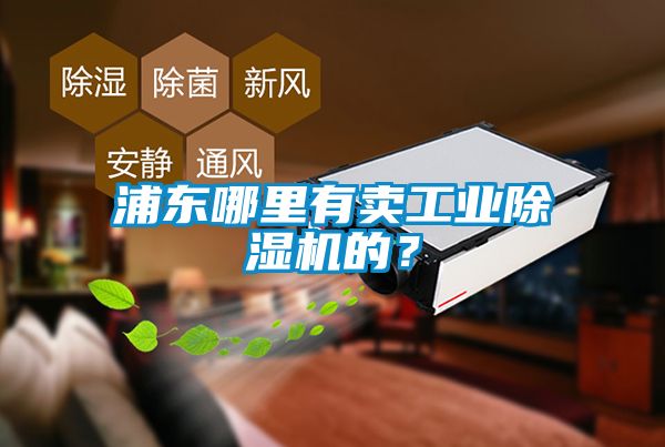 浦東哪里有賣工業(yè)除濕機(jī)的？