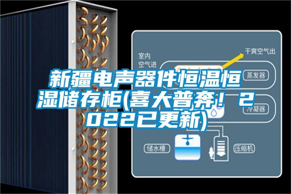 新疆電聲器件恒溫恒濕儲存柜(喜大普奔！2022已更新)