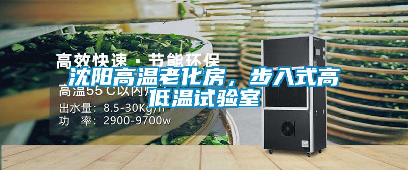 沈陽高溫老化房，步入式高低溫試驗(yàn)室