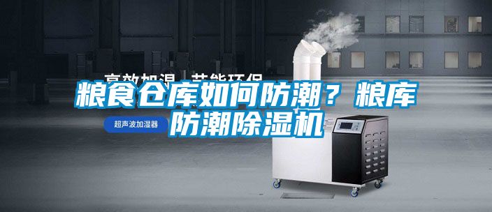 糧食倉(cāng)庫(kù)如何防潮？糧庫(kù)防潮除濕機(jī)