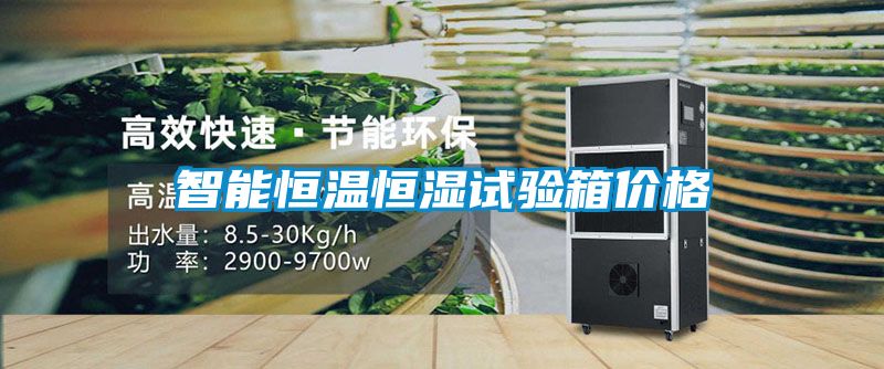 智能恒溫恒濕試驗(yàn)箱價格
