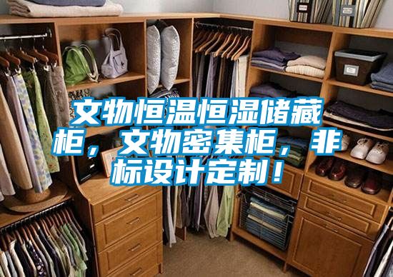 文物恒溫恒濕儲藏柜，文物密集柜，非標(biāo)設(shè)計定制！