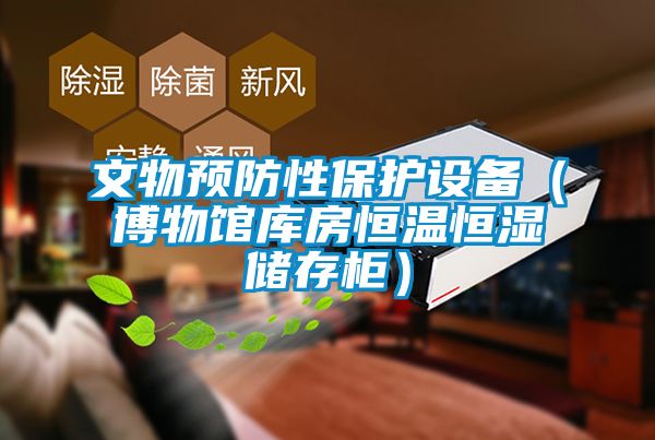 文物預防性保護設(shè)備（博物館庫房恒溫恒濕儲存柜）