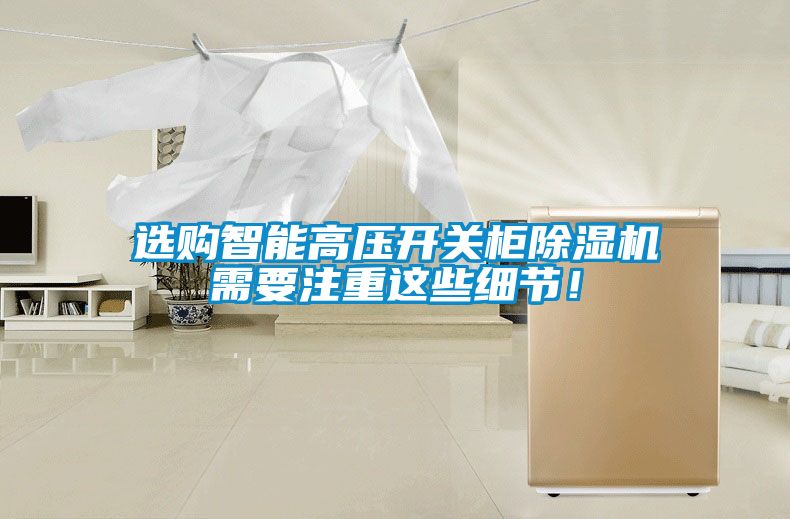 選購智能高壓開關(guān)柜除濕機需要注重這些細節(jié)！