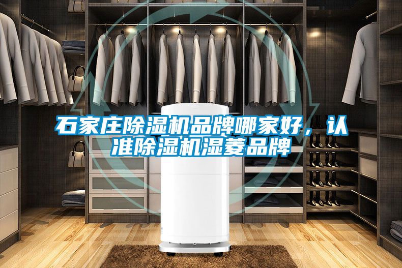 石家莊除濕機(jī)品牌哪家好，認(rèn)準(zhǔn)除濕機(jī)濕菱品牌