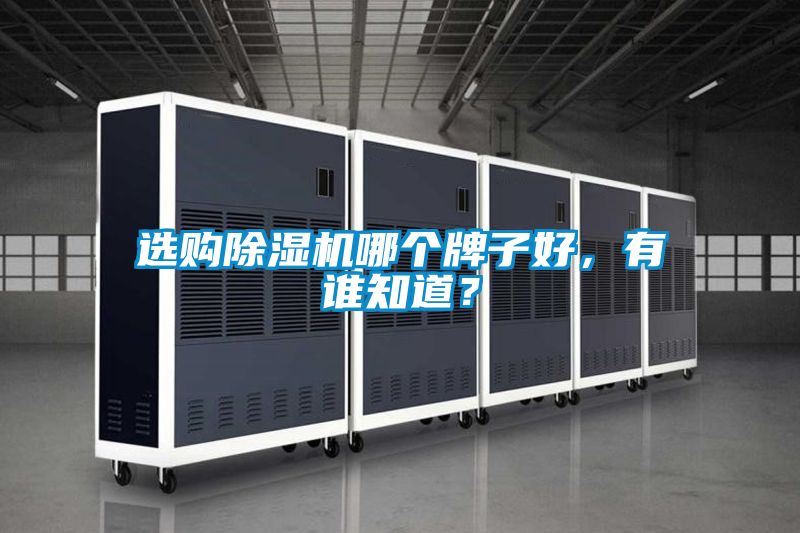 選購除濕機哪個牌子好，有誰知道？