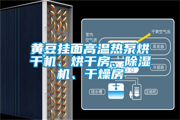 黃豆掛面高溫熱泵烘干機、烘干房、除濕機、干燥房