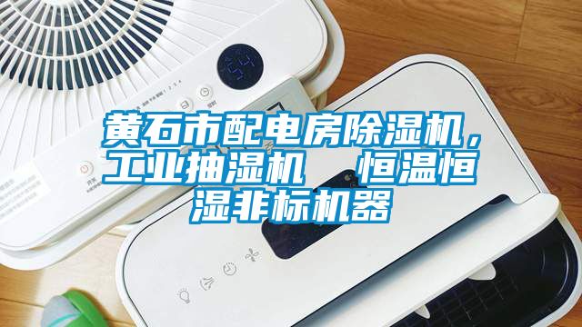 黃石市配電房除濕機(jī)，工業(yè)抽濕機(jī)  恒溫恒濕非標(biāo)機(jī)器